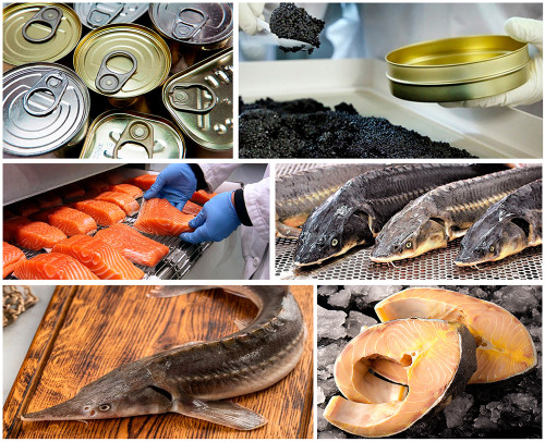 Fish products production
